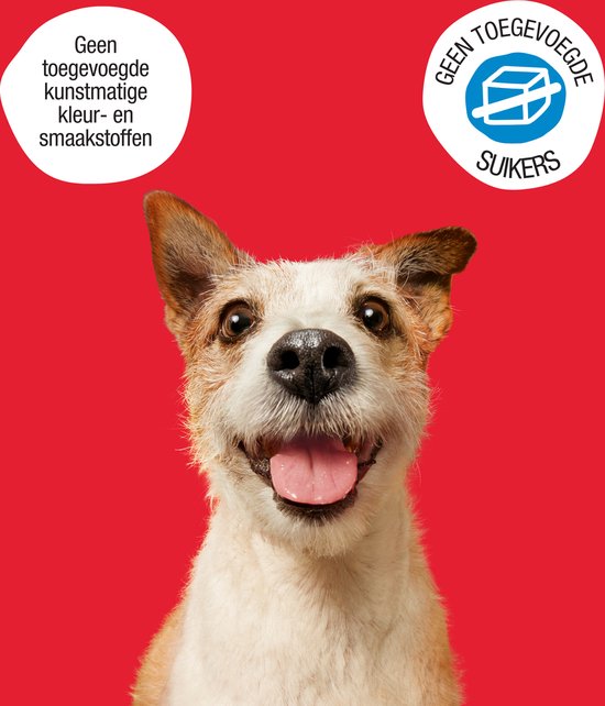 Frolic Droogvoer Rund 2-pack bestellen | Albert Heijn