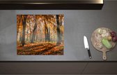 Inductieplaat Beschermer - Bos in de Herfst met Zonnestralen door de Bomen - 60x52 cm - 2 mm Dik - Inductie Beschermer - Bescherming Inductiekookplaat - Kookplaat Beschermer van Zwart Vinyl