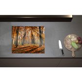 Inductieplaat Beschermer - Bos in de Herfst met Zonnestralen door de Bomen - 60x50 cm - 2 mm Dik - Inductie Beschermer - Bescherming Inductiekookplaat - Kookplaat Beschermer van Zwart Vinyl