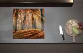 Inductieplaat Beschermer - Bos in de Herfst met Zonnestralen door de Bomen - 57x55 cm - 2 mm Dik - Inductie Beschermer - Bescherming Inductiekookplaat - Kookplaat Beschermer van Zwart Vinyl