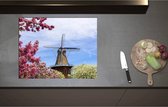 Inductieplaat Beschermer - Bloesembomen voor Traditione Molen in Nederland - 70x55 cm - 2 mm Dik - Inductie Beschermer - Bescherming Inductiekookplaat - Kookplaat Beschermer van Zwart Vinyl