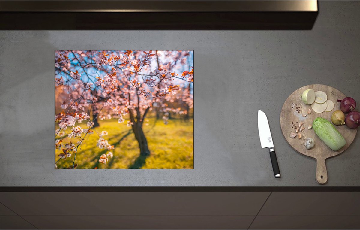Inductieplaat Beschermer - Bloeiende Bloesem aan Boom in het Park - 58x50 cm - 2 mm Dik - Inductie Beschermer - Bescherming Inductiekookplaat - Kookplaat Beschermer van Zwart Vinyl