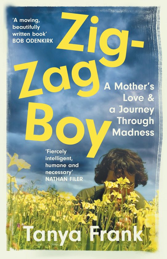 Zig-Zag Boy - cover
