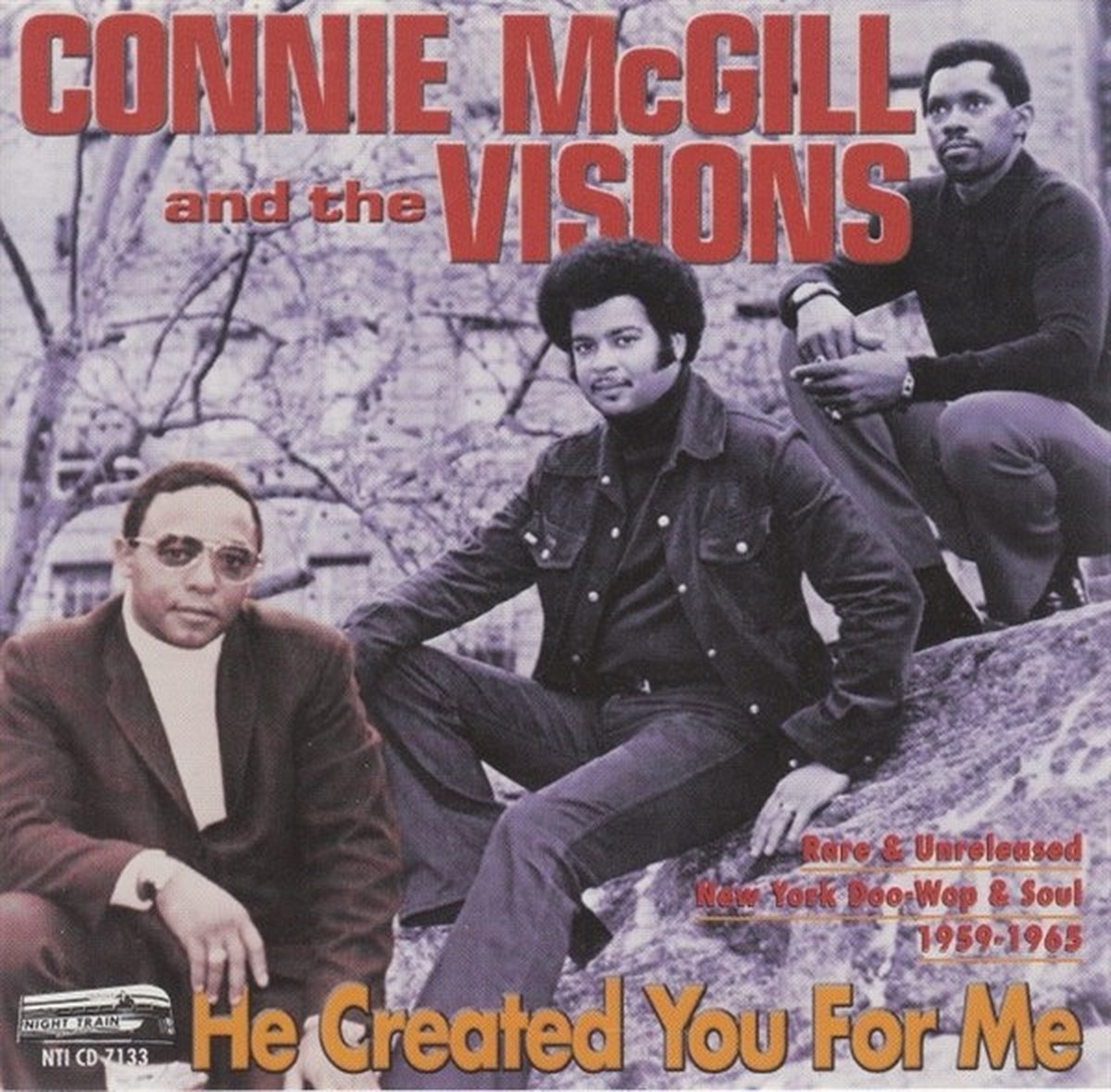 Connie McGill And The Visions - He Created You For Me (CD)