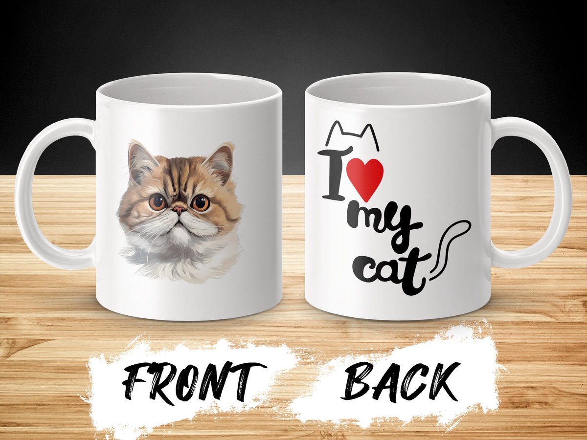Mok Exotic Shorthair cat - kat - I love my cat - cat lovers - katten