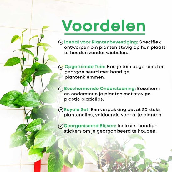 Avantages des clips pour plantes: idéal pour fixer les plantes, jardin rangé, support protecteur, set royal de 50 pièces, rester organisé. Avec texte néerlandais.