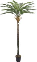Kunst Palmboom California | 200cm - Namaak palmboom - Kunstplanten voor binnen - Kunstpalm