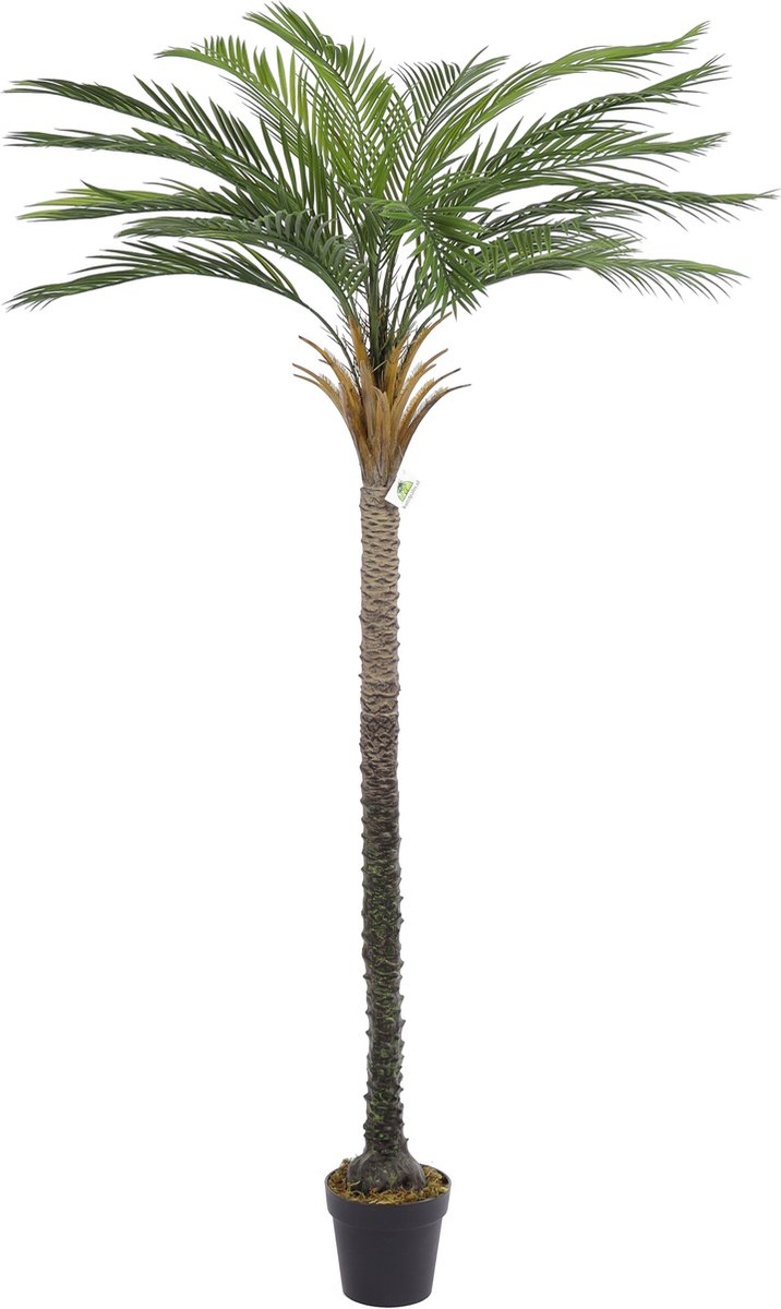 Kunstpalm Kunst Palmboom California | 200cm - Namaak palmboom - Kunstplanten voor binnen - Kunstpalm Lichtgroen