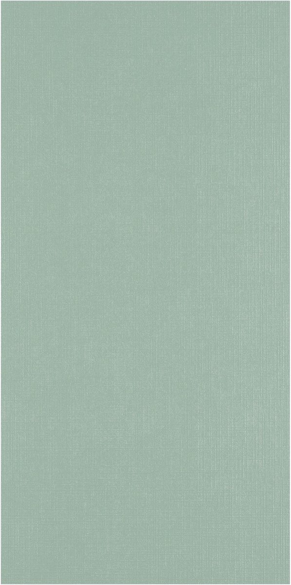 Florence Cardstock Linnenkarton - Iguana (Groen) - Gekleurd Papier - 27 x 13,5 cm - 100 vellen - Textuur - 250 g