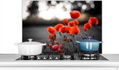 Spatscherm keuken 90x60 cm - Kookplaat achterwand Wilde rode klaprozen in een groot veld met een zwart witte achtergrond - Muurbeschermer - Spatwand fornuis - Hoogwaardig aluminium