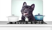 Spatscherm keuken 70x50 cm - Kookplaat achterwand Franse Bulldog - Zwart - Stoel - Muurbeschermer - Spatwand fornuis - Hoogwaardig aluminium