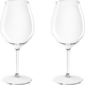 2x Witte of rode wijn wijnglazen 51 cl/510 ml van onbreekbaar transparant kunststof - Wijnen wijnliefhebbers drinkglazen - Wijn drinken