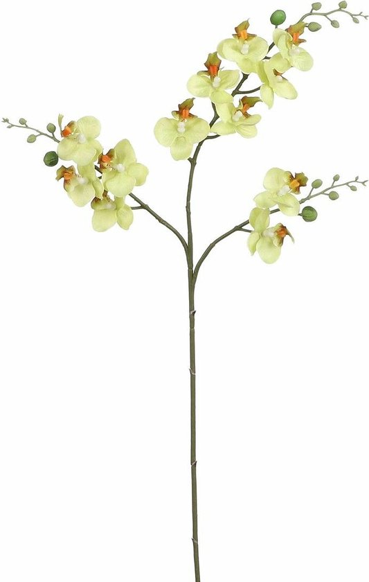 Mica Decorations Kunstbloem Orchidee tak - lichtgeel - 75 cm - Kunst zijdebloemen