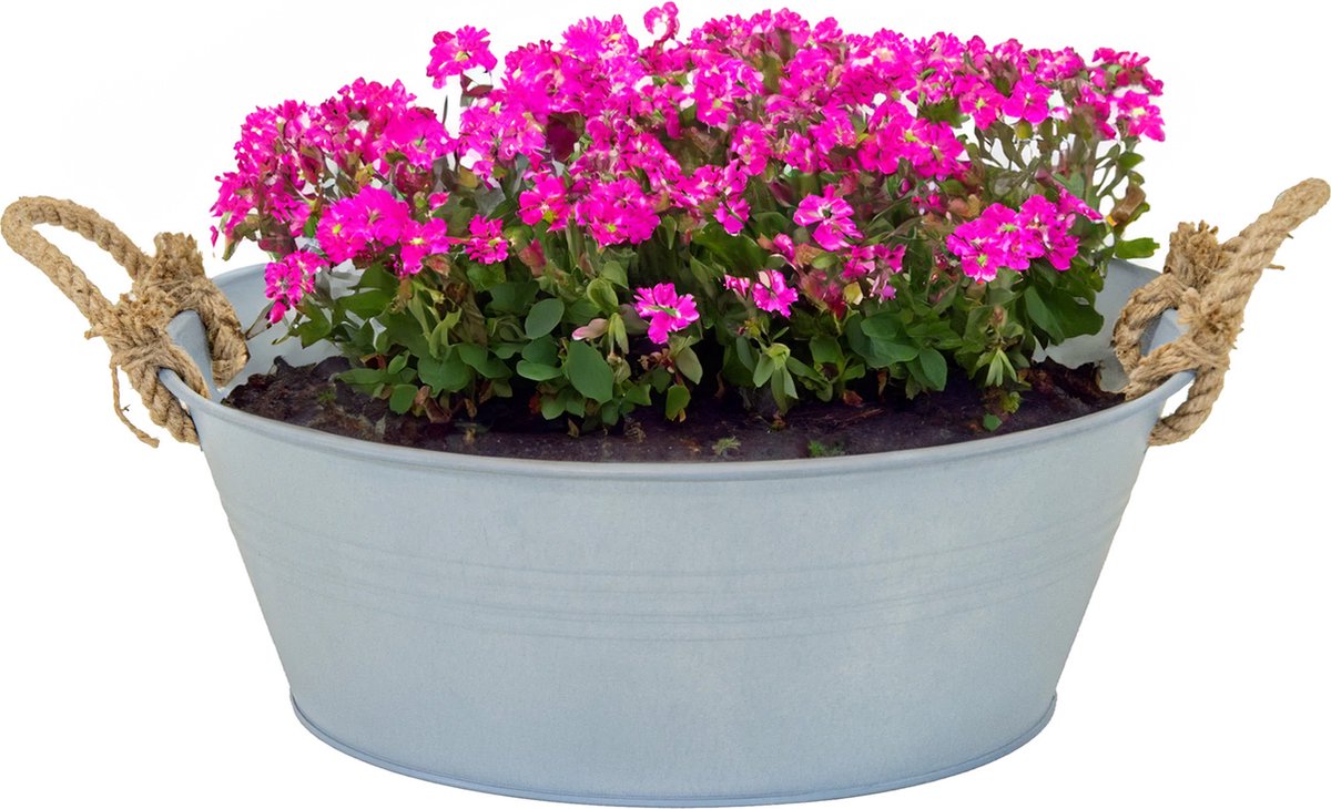 Goedkoopste Mega Collections Teil/plantenpot/bloempot Old Rope - zink - zilver - D40 X H14 cm