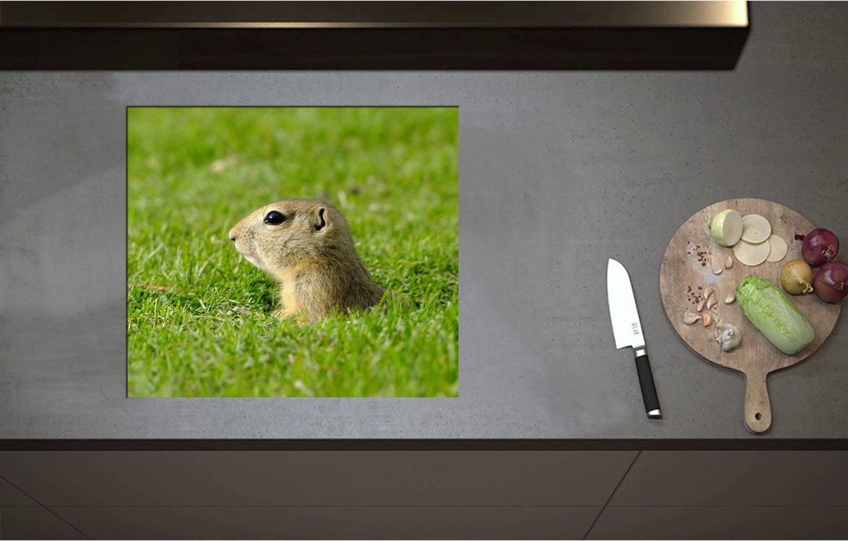 Inductieplaat Beschermer - Baby Goffer Komt uit de Grond - 59x52 cm - 2 mm Dik - Inductie Beschermer - Bescherming Inductiekookplaat - Kookplaat Beschermer van Wit Vinyl