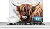 Spatscherm keuken 90x60 cm - Kookplaat achterwand Schotse Hooglander - Koe - Wit - Muurbeschermer - Spatwand fornuis - Hoogwaardig aluminium