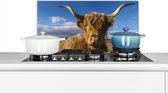 Spatscherm keuken 60x30 cm - Kookplaat achterwand Schotse Hooglander - Dieren - Gras - Muurbeschermer - Spatwand fornuis - Hoogwaardig aluminium