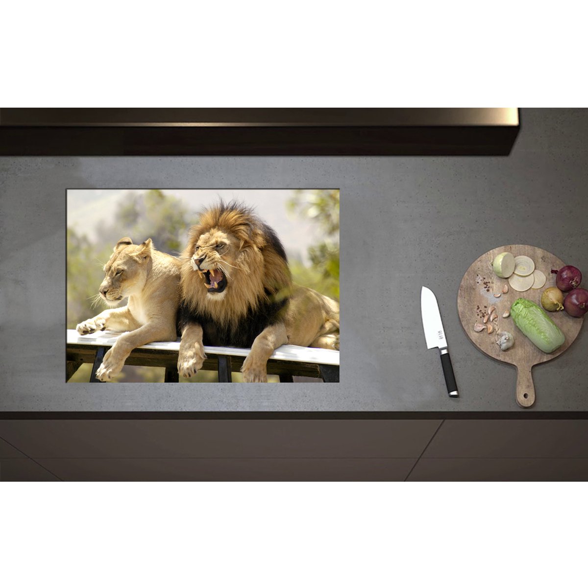 Inductieplaat Beschermer - Beschermende Mannetjesleeuw bij Vrouwtjes Leeuw - 70x50 cm - 2 mm Dik - Inductie Beschermer - Bescherming Inductiekookplaat - Kookplaat Beschermer van Wit Vinyl