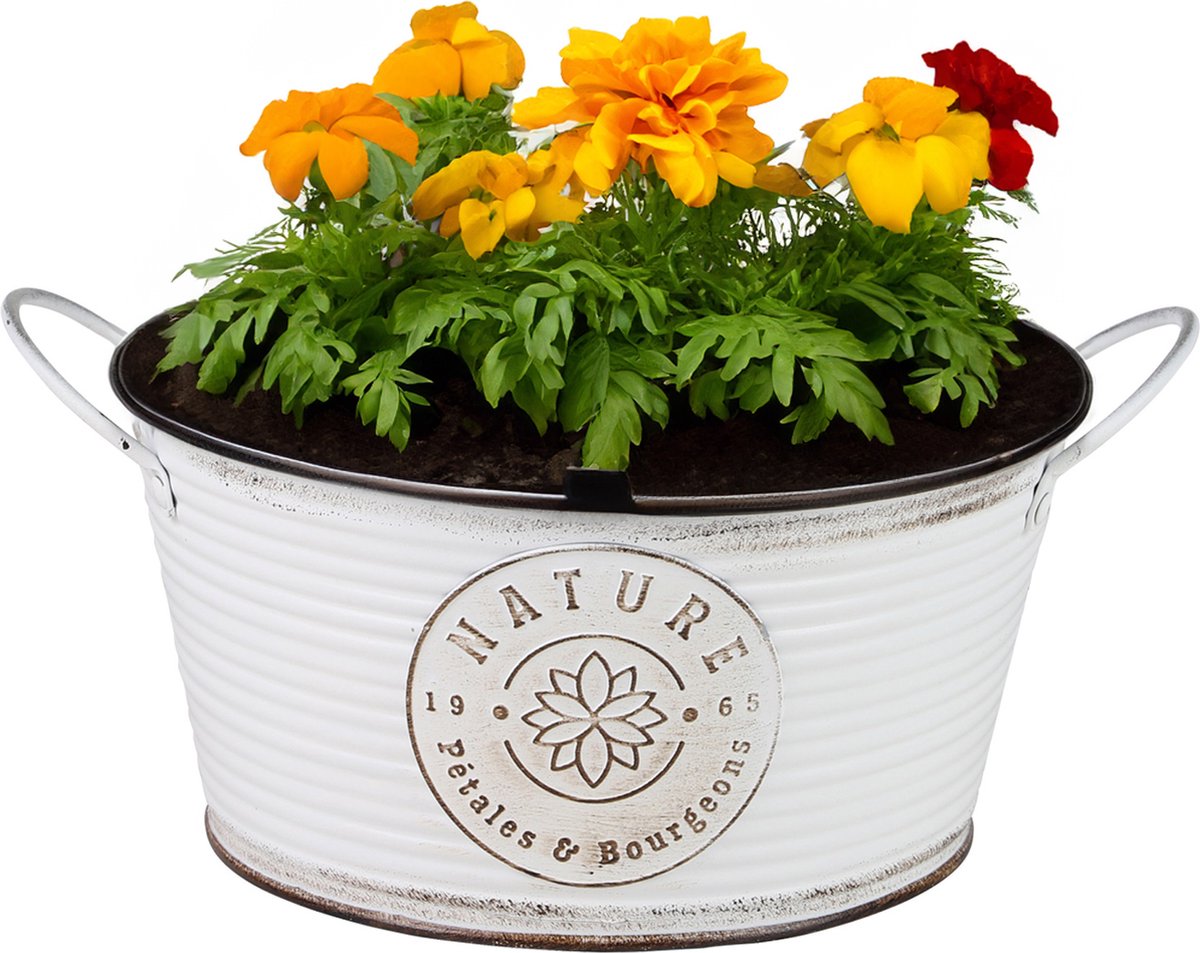 Goedkoopste Sunnydays Teil/plantenpot/bloempot - zink - rond - ivoorwit - D25 x H12 cm