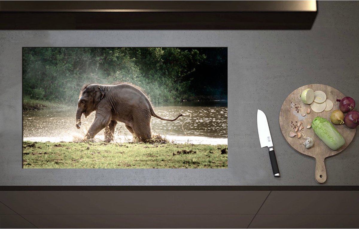 Inductieplaat Beschermer - Baby Olifant Spelend in Meer in Regenwoud - 85x51 cm - 2 mm Dik - Inductie Beschermer - Bescherming Inductiekookplaat - Kookplaat Beschermer van Zwart Vinyl