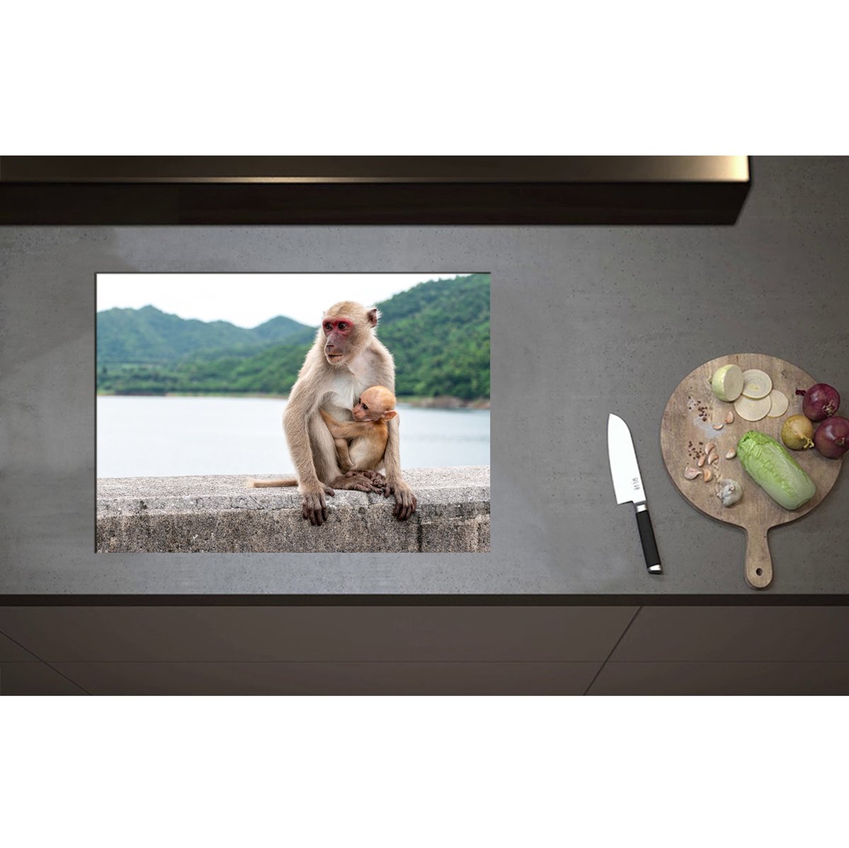 Inductieplaat Beschermer - Baby Aap Hangend bij Moederaap op Stenen Rand - 70x50 cm - 2 mm Dik - Inductie Beschermer - Bescherming Inductiekookplaat - Kookplaat Beschermer van Wit Vinyl