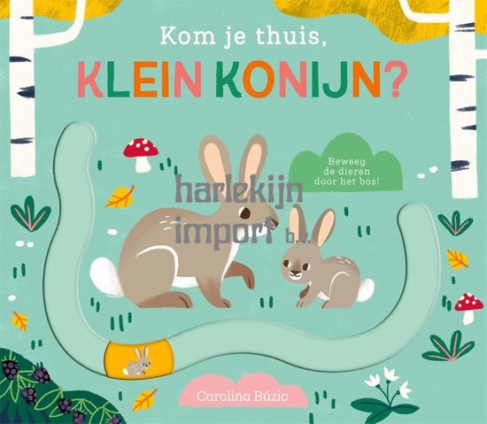 Kom je thuis? - Kom je thuis, klein konijn? - cover