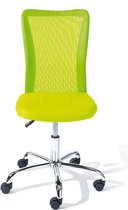 Ergonomische bureaustoel - bureaustoel met hoge rugleuning, verstelbare lendensteun,43D x 53W x 88H centimetres