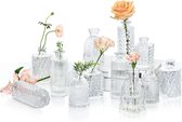 Kleine glazen vaas set van 12, kleine vazen ​​voor tafeldecoratie