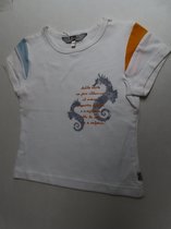 T shirt met korte mouwen - Meisjes - Wit - Afgewerkt met licht blauw en oranje - 6 jaar 116