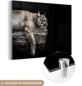 MuchoWow® Glasschilderij 160x120 cm - Schilderij acrylglas - Landschap poema - Foto op glas - Schilderijen