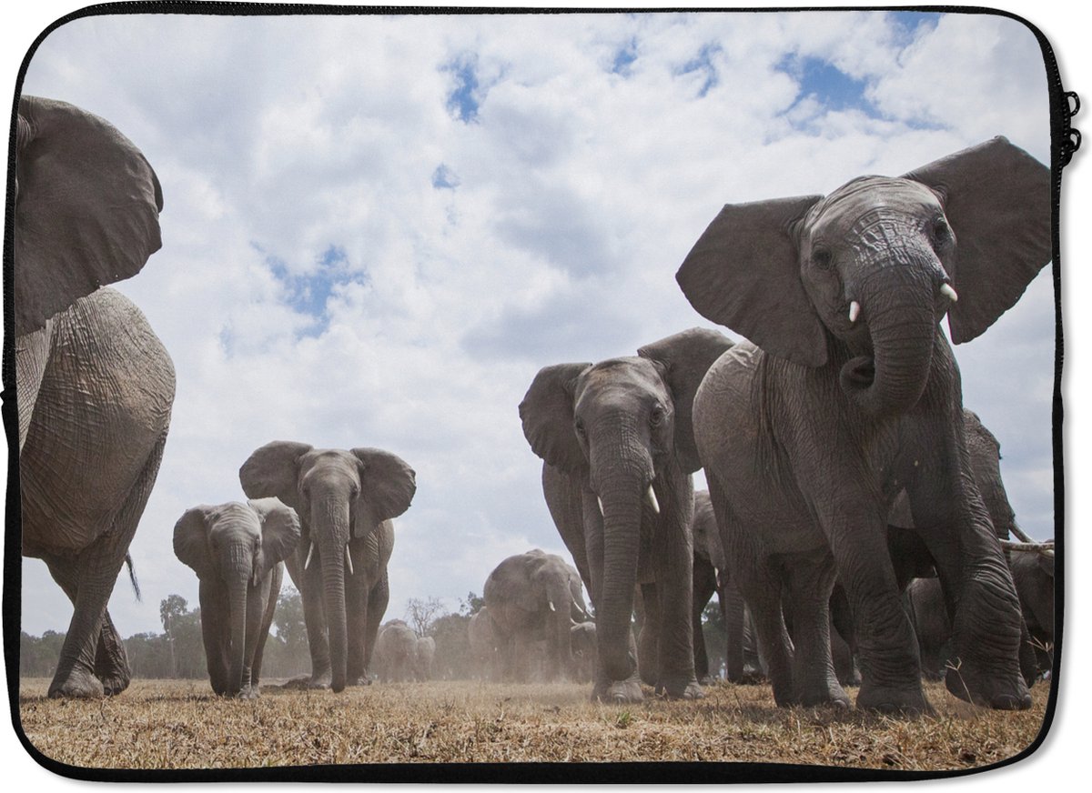 Laptophoes 14 inch - Olifant - Dieren - Natuur - Vlakte - Laptop sleeve - Binnenmaat 33x23 cm - Zwarte achterkant