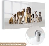 MuchoWow® Glasschilderij 80x40 cm - Schilderij acrylglas - Groepsportret van honden - Foto op glas - Schilderijen