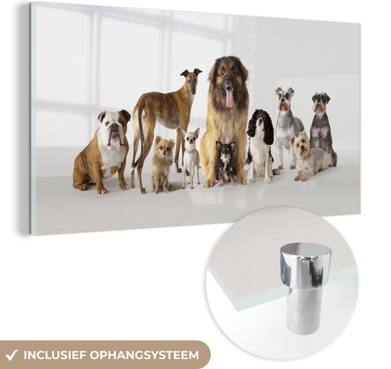 Glasschilderij - Groepsportret van honden - Plexiglas Schilderijen