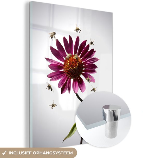 MuchoWow® Glasschilderij 60x80 cm - Schilderij acrylglas - Bijen vliegen rond bloeiende bloem - Foto op glas - Schilderijen