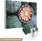 MuchoWow® Glasschilderij 90x60 cm - Schilderij acrylglas - Braziliaans fruit fotoprint - Foto op glas - Schilderijen