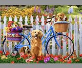TOPMO - Honden familie fiets - 40X50CM- Diamond painting pakket - HQ Diamond Painting - VOLLEDIG dekkend - Diamant Schilderen - voor Volwassenen – ROND