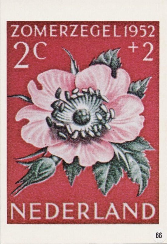 150 jaar sinds de eerste postzegel werd uitgegeven in IJsland 1950