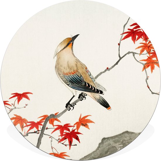 Muurcirkel / wandcirkel voor binnen | 30cm dibond (aluminium) | Japanese plague bird on maple | Ohara Koson | Vogelprent | Incl. ophangset voor bevestiging aan de muur
