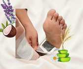 Diepe Ontspanning Natural VoetPleister / Foot Pads - Natural - Relaxation - 10 Stuks