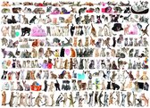 Eurographics puzzel The World of Cats - 1000 stukjes