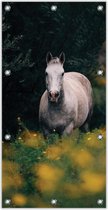 Tuinposter Schimmel / Paard 100x200cm- Foto op Tuinposter (wanddecoratie voor buiten en binnen)