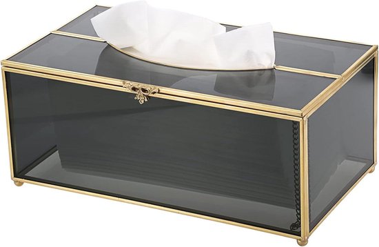 WENKO Box voor tissues RVS mat - Tissuebox - Tissuehouder - Zakdoekendoos