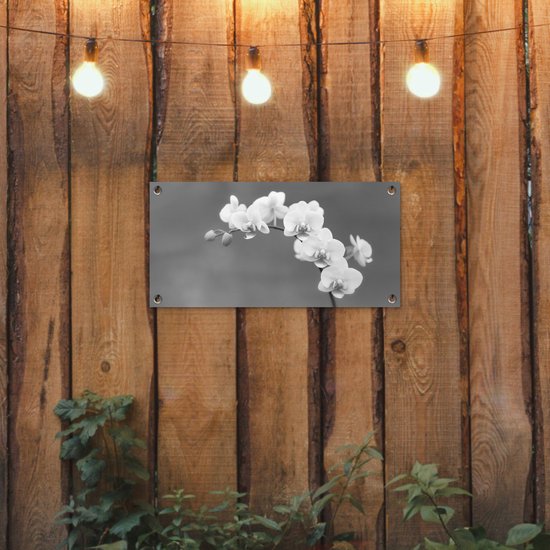 Poster de jardin Orchidée - Fleurs - Plante - Wit - Violet - 60x30 cm - Toile jardin - Poster extérieur