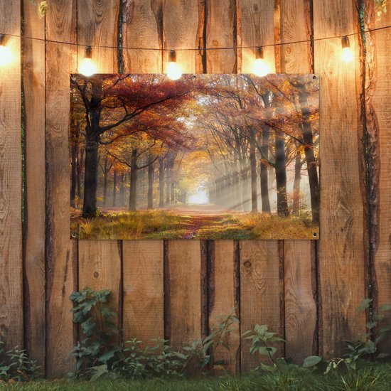 Affiche de jardin Automne - Forêt - Arbre - 120x80 cm - Jardin