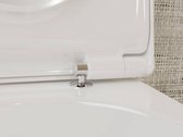 Hansgrohe EluPura S 540 Closet - wand - rimless - aquafall - wit