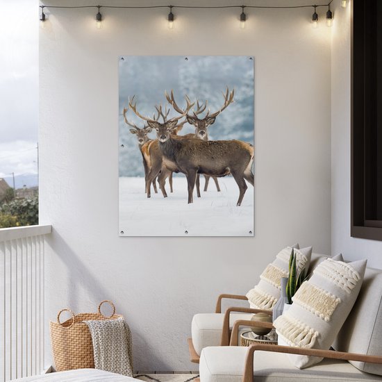 Affiche jardin - Toile jardin - Posters de jardin extérieur - Cerf - Animaux - Neige - Hiver - Paysage - Nature - 90x120 cm - Jardin