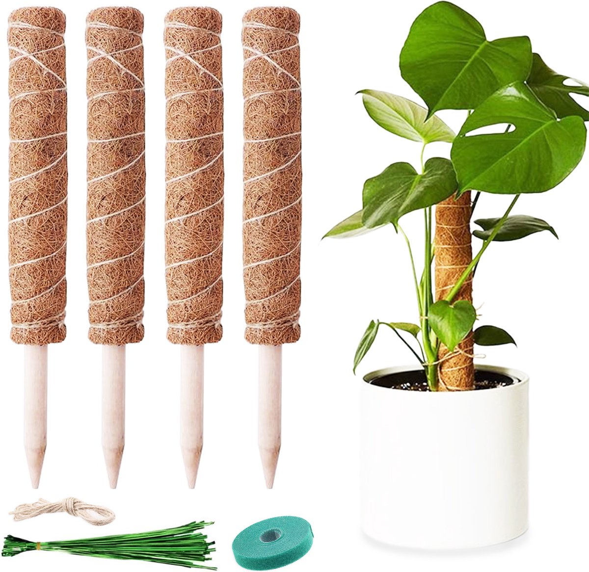YUGN 130cm Verlengbaar Mosstok 40cm 4 stuks - Mosstok voor Planten – Groene Banden 80 stuks - Eucalyptus & Kokosnoot Materiaal – 100% Biologisch Afbreekbaar - Cadeautip