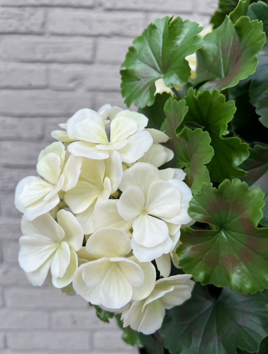 Geranium bol kunstplant 50cm UV creme-wit