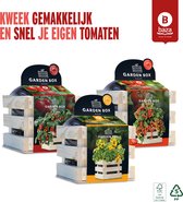 Baza Garden boxes Ensemble de tomates 3 pièces/ Bois FSC/ durable/ Terreau BIO/ cadeau