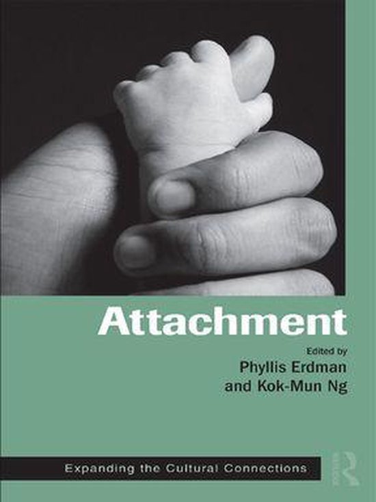 Routledge Series on Family Therapy and Counseling - Attachme ... - cover